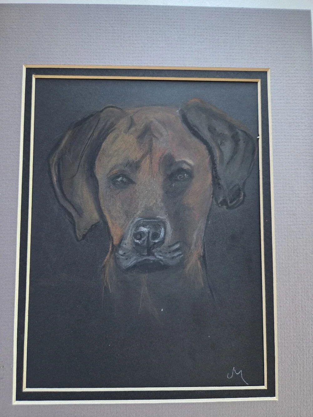 Original Signed Dog Portrait Ridgback - on Black Background - Picture 1 of 1